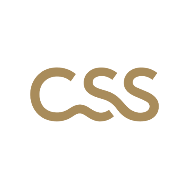 CSS Logo