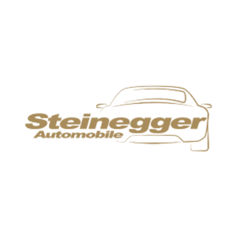 Steinegger Automobile Logo